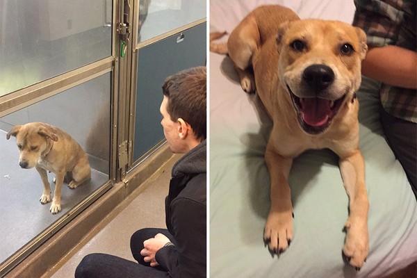 15 Before And After Adoption Pictures That Will Take Your Heart Away
