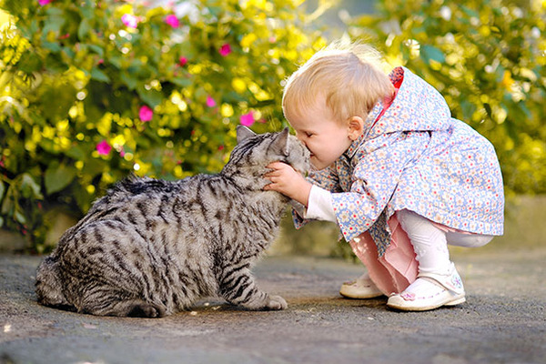 Image result for kids love cats