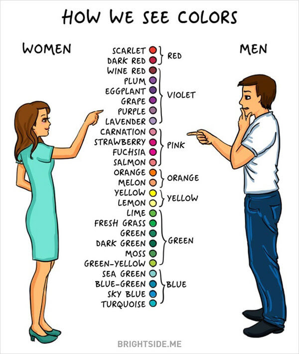 What Are Differences Between Men And Women 20
