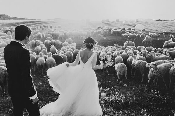 best Wedding Photographs 14