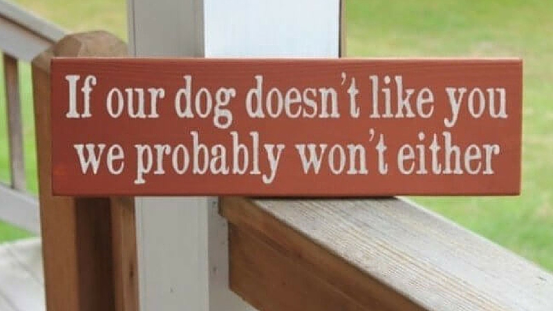 15 Beware Of Dog Signs That Will Make You Laugh Every Time