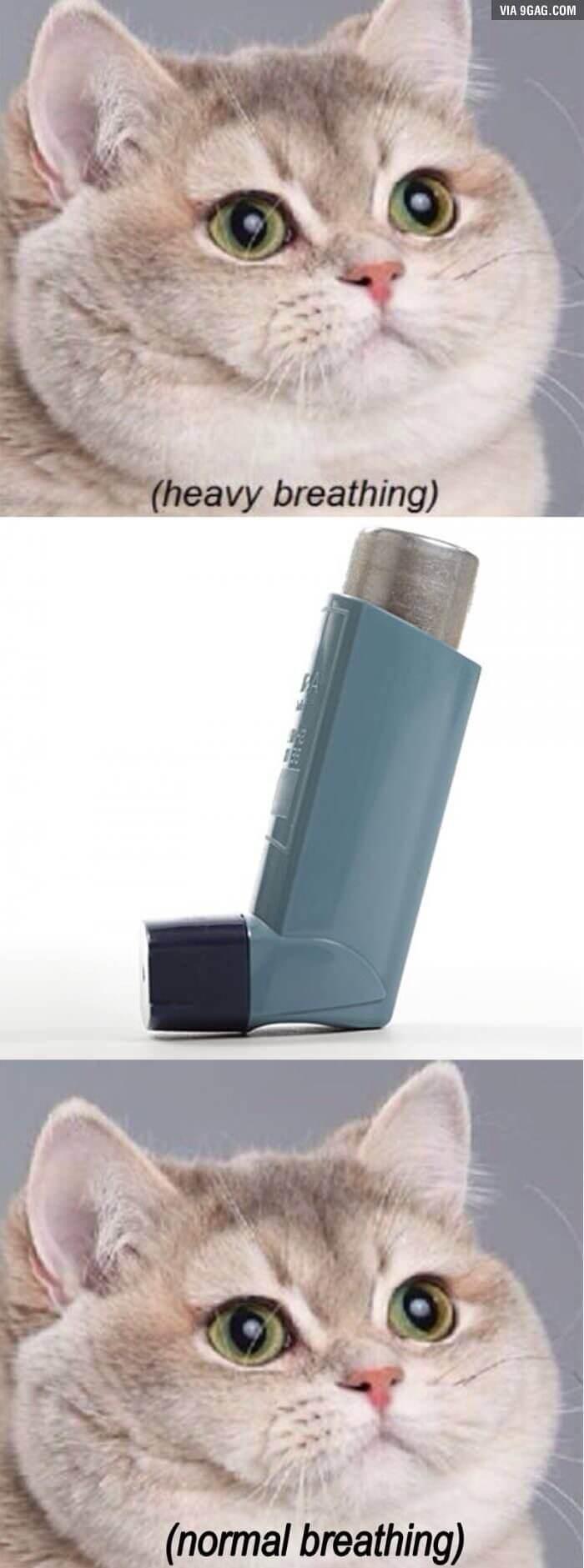 14 Asthma Memes That Will Leave You Breathless