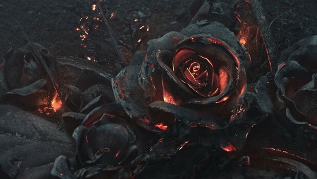 burning roses feat (1)