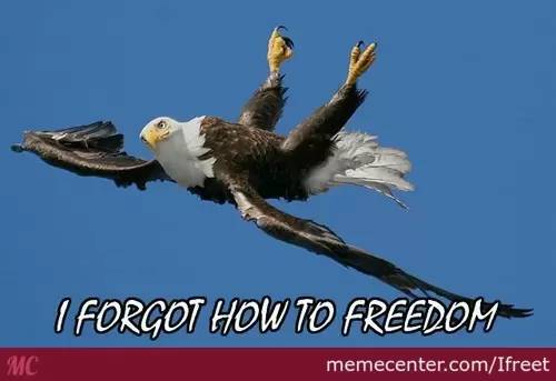 26 Freedom Meme Pictures To Remind You That Being Free Is ...