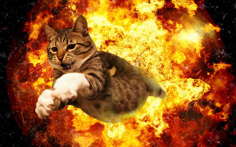 20 Cats Walking Away From Explosions As a Parody To Cool Guys Don't