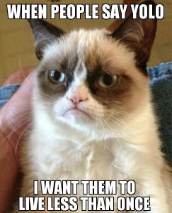 grumpy cat meme