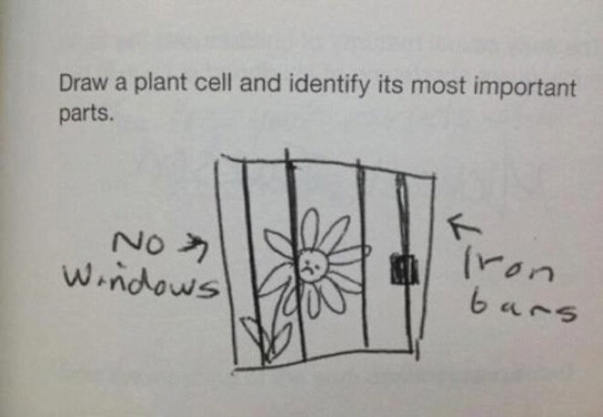 hilarious test answers 25 (1)