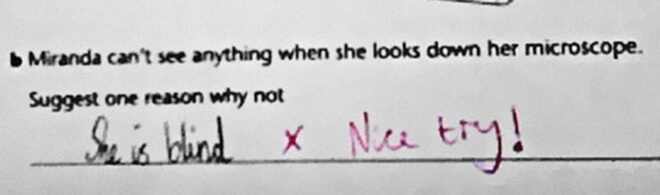 funny test answers 33 (1)