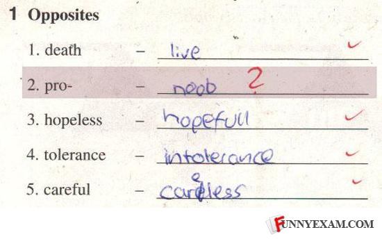 funny test answers