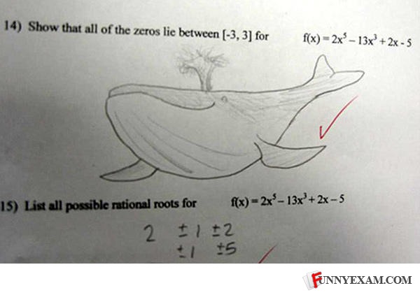 funny exam answers