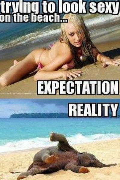 expectation vs reality