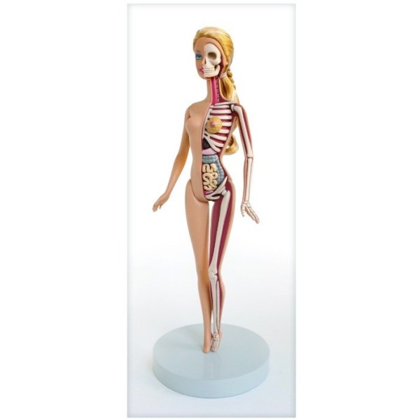 lego figures anatomy