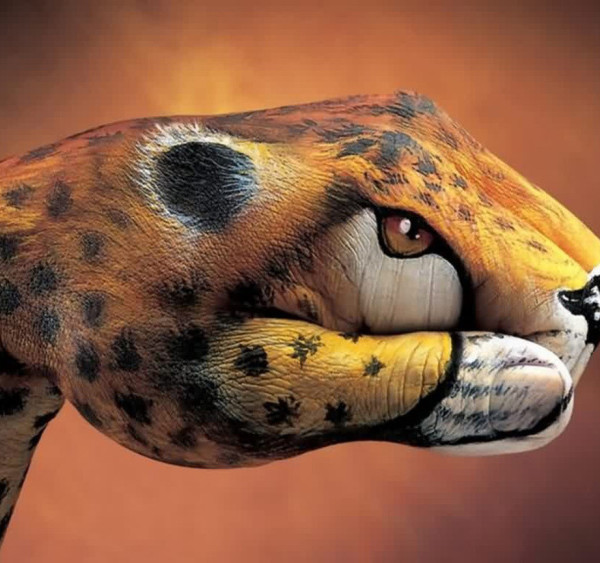 guido daniele