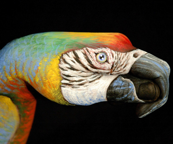 guido daniele