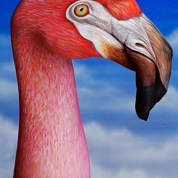 guido daniele