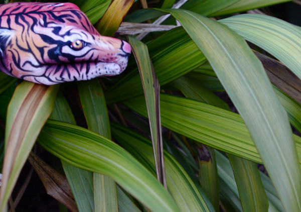 guido daniele