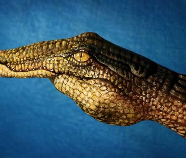 guido daniele