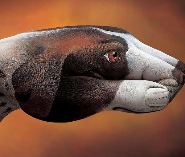 guido daniele