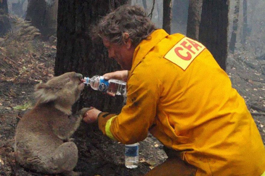 powerful-photos