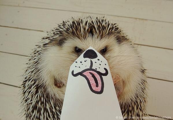 hedgehogdays