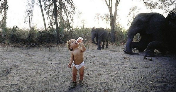 Young girl who’s best friends with African wildlife