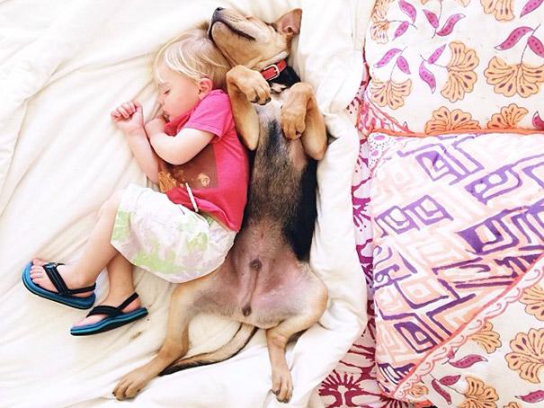 toddler naps with puppy