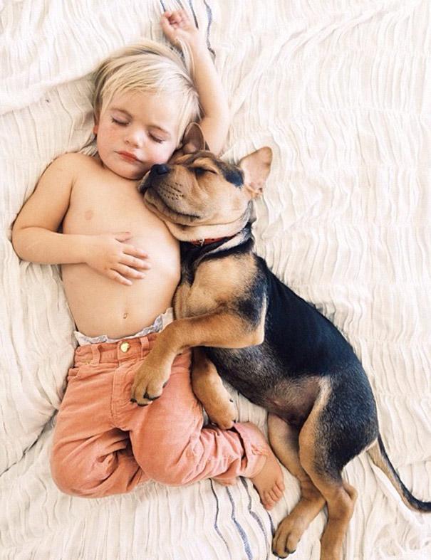 toddler naps with puppy