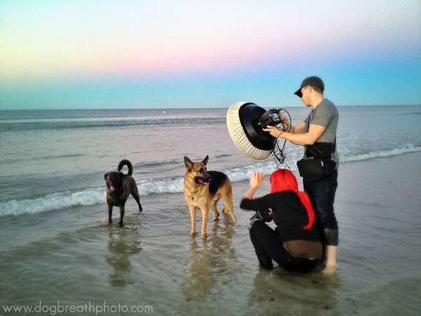 Dog Breath Photography By Kaylee Greer.