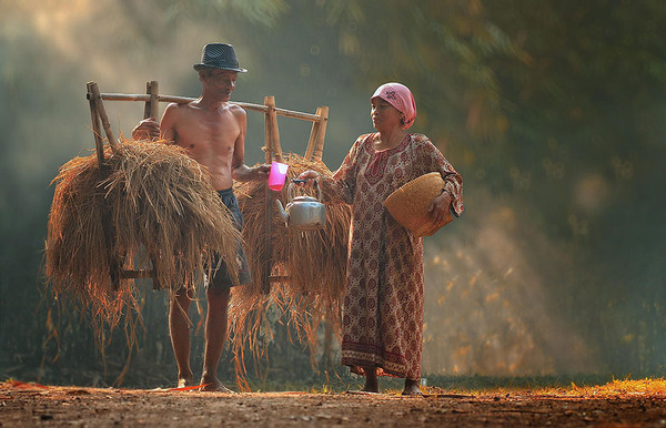 Everyday Life of Indonesian Villagers.