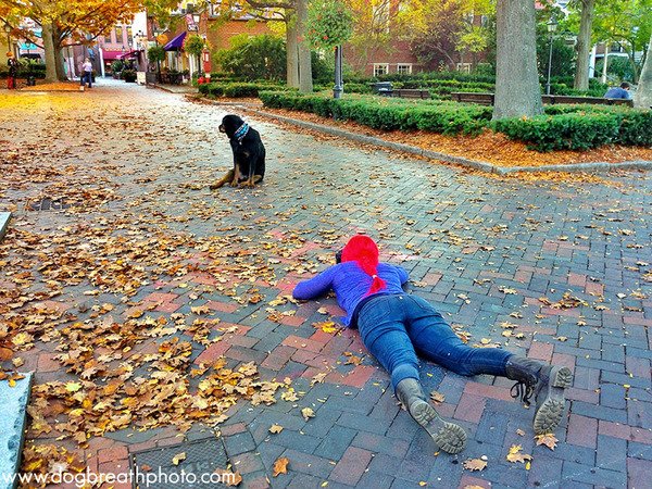 Dog Breath Photography By Kaylee Greer.