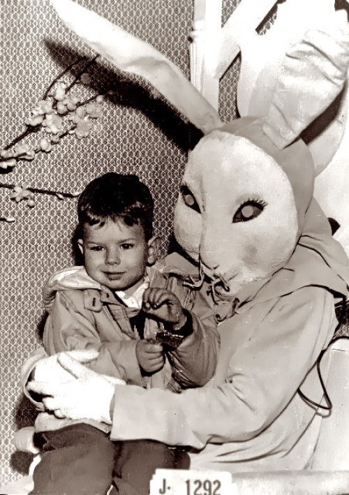 Easter Bunny Photos