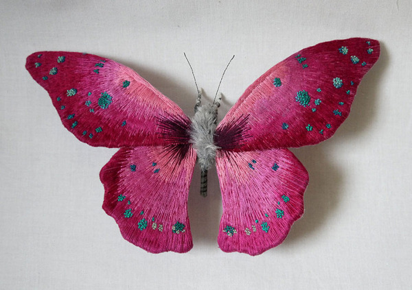 butterfly artist