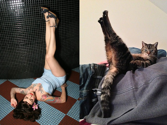 Cats Imitating Models