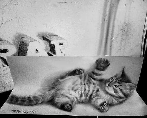 3d drawings