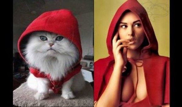 Cats Imitating Models