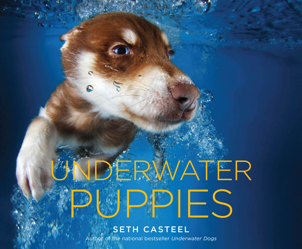 seth Casteel_UNDERWATERPUPPIES