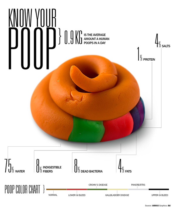 poop infographic