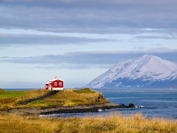 Little Lonely Houses Little Lonely Houses