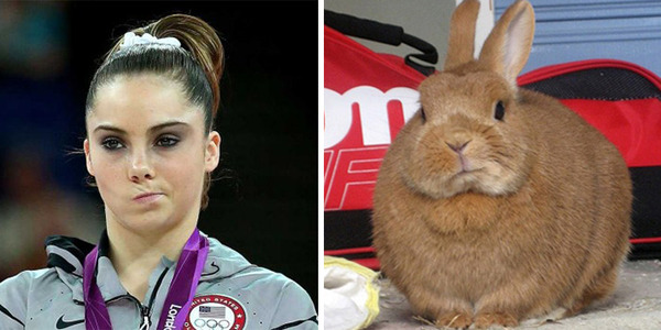             25+ Things That Are Hilariously Similar To Each Other            