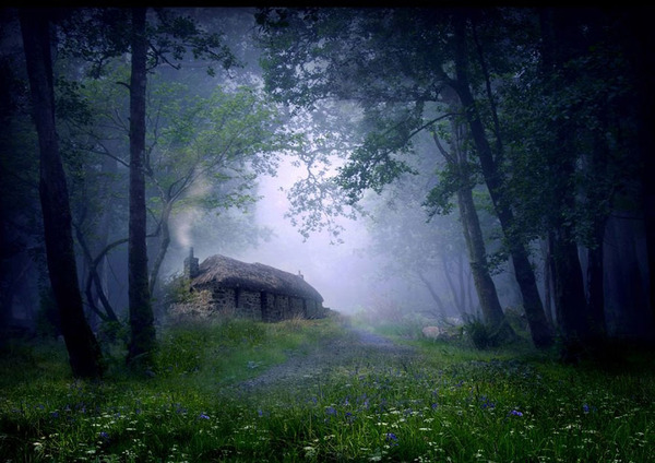 Little Lonely Houses Little Lonely Houses
