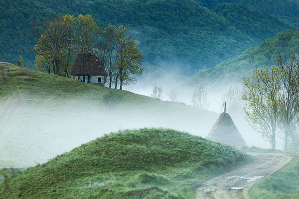 Little Lonely Houses Little Lonely Houses