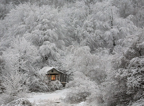 Little Lonely Houses Little Lonely Houses