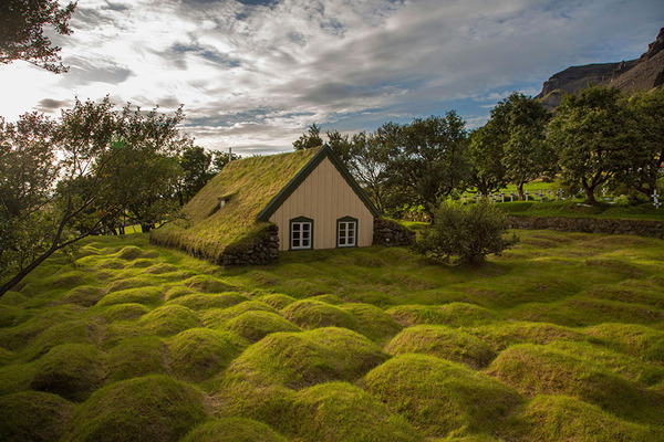 Little Lonely Houses Little Lonely Houses