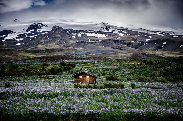 Little Lonely Houses Little Lonely Houses