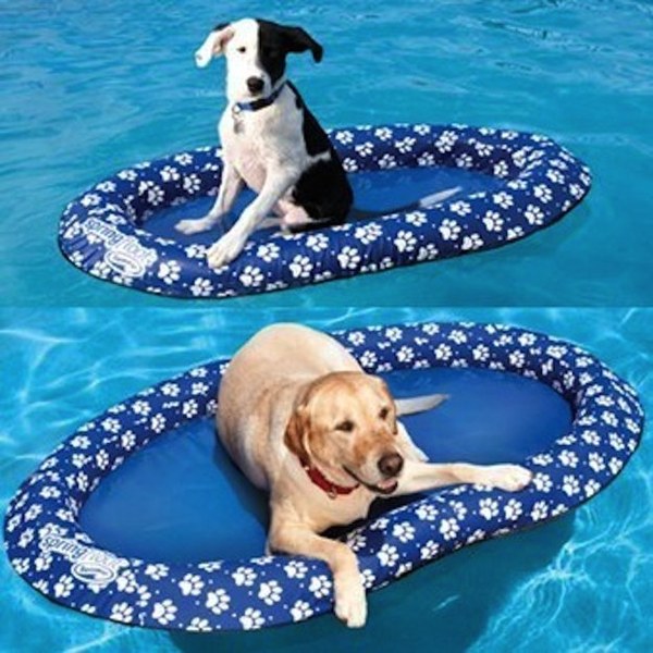 amazing pet gifts amazing pet gifts