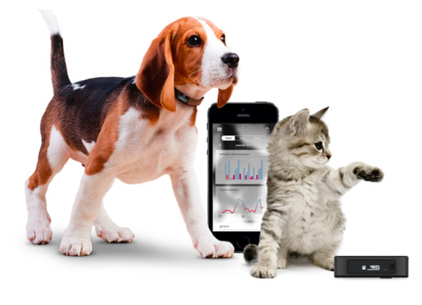 amazing pet gifts amazing pet gifts
