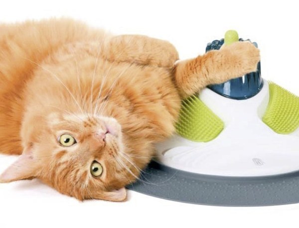 amazing pet gifts amazing pet gifts