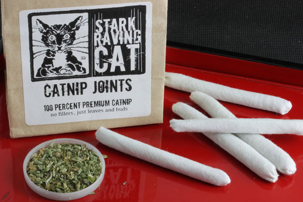 amazing pet gifts amazing pet gifts
