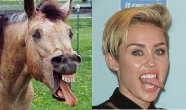 22 Things That Look Like Miley Cyrus