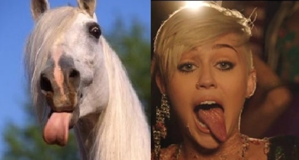 22 Things That Look Like Miley Cyrus